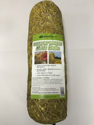 Barley Straw Midi Bale